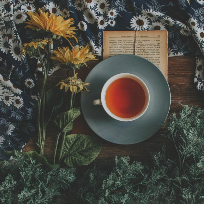 自律神経の話のつづきのつづき