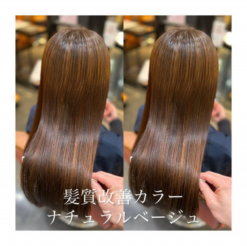 春に向けてのご提案