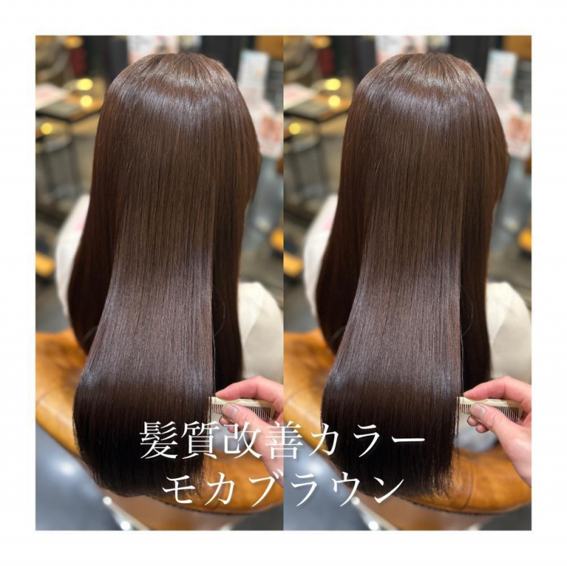 春に向けてのご提案