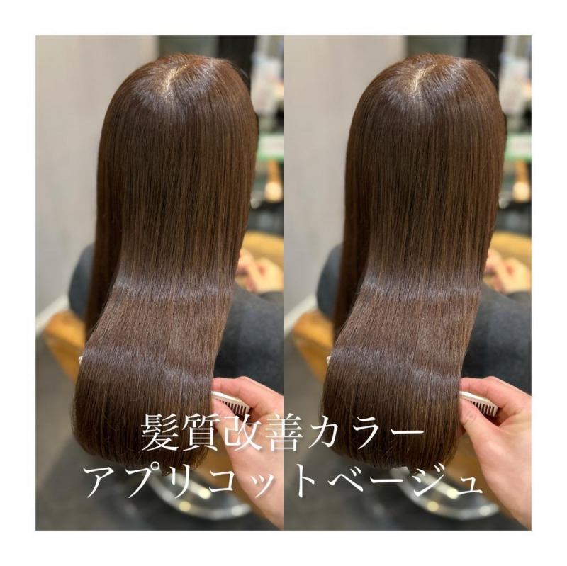 春に向けてのご提案