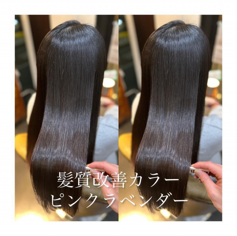 春に向けてのご提案