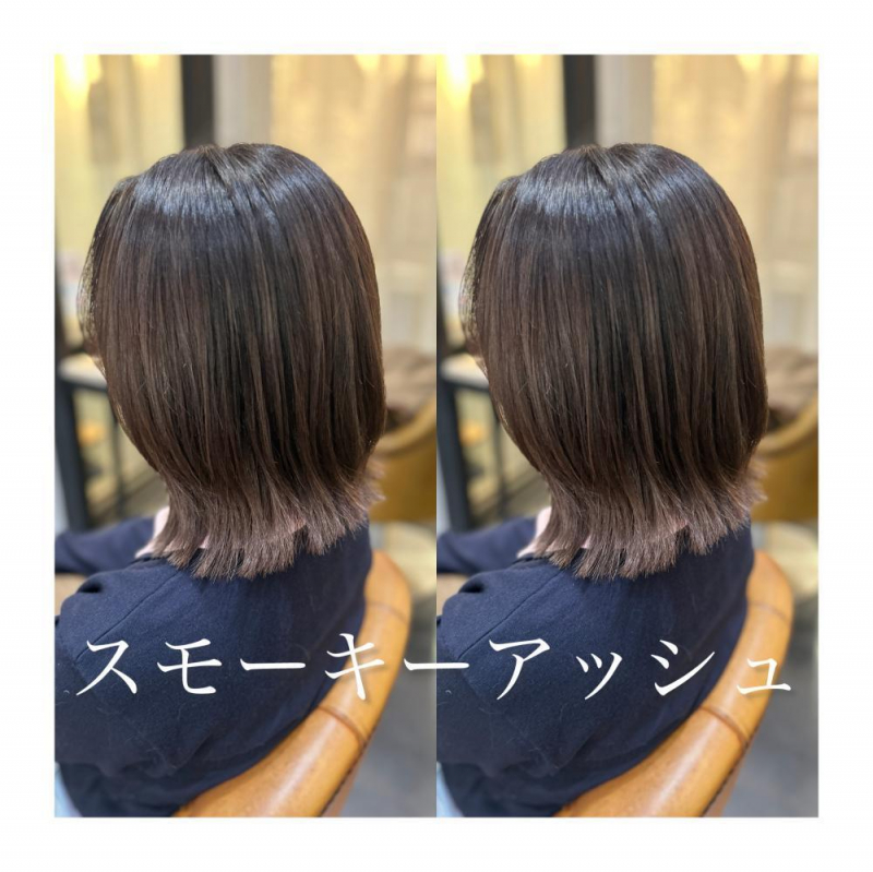 春に向けてのご提案