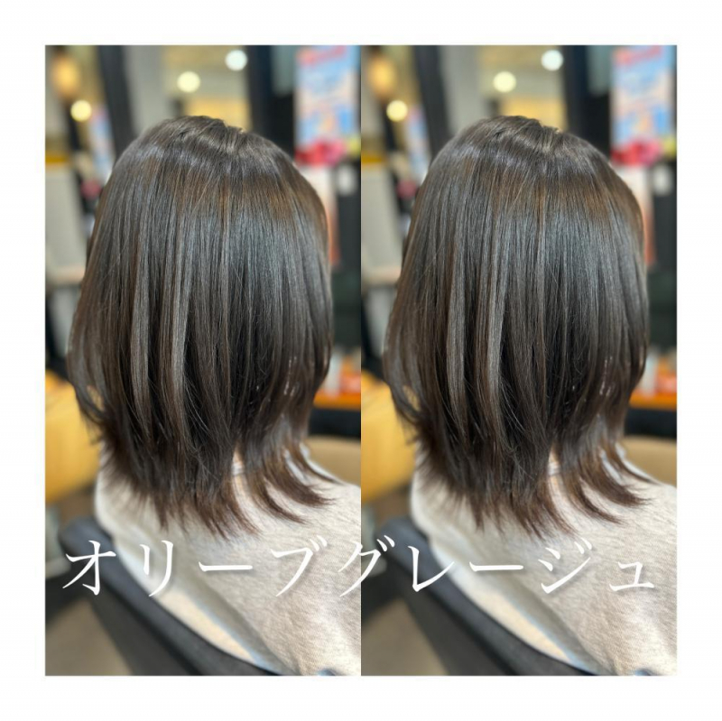 春に向けてのご提案