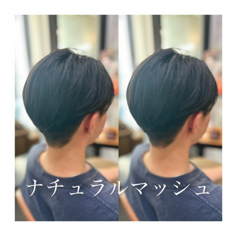 春に向けてのご提案