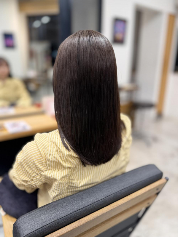 圧倒的な透明感】光に透けるシアーショコラブラウン